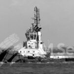 12643-2 Noir et Blanc